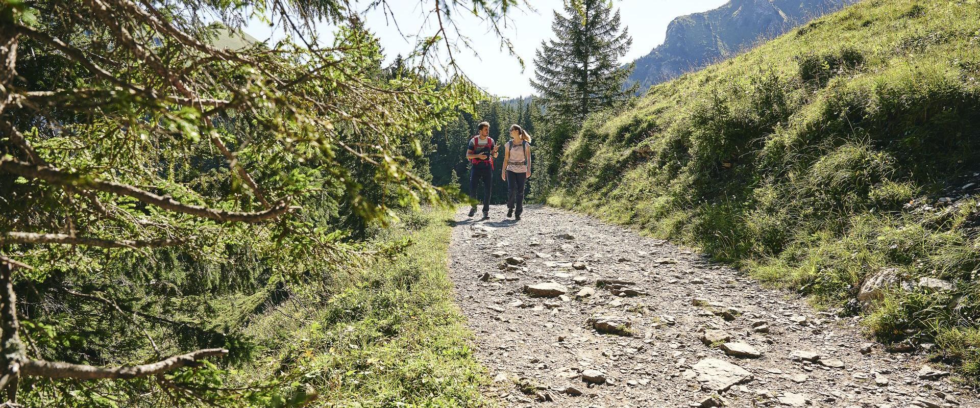 Wandern zwischen Bergstation Mellaubahn und Alpe Kanis